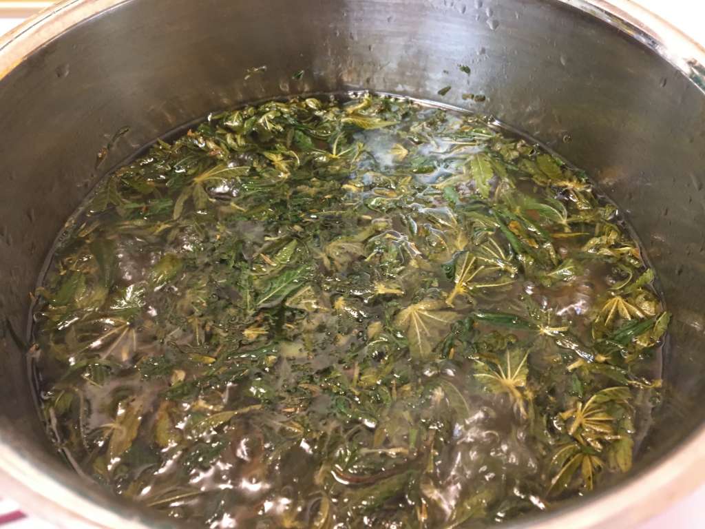 Stovetop cannabis infusion- fairly easy, but pungent!