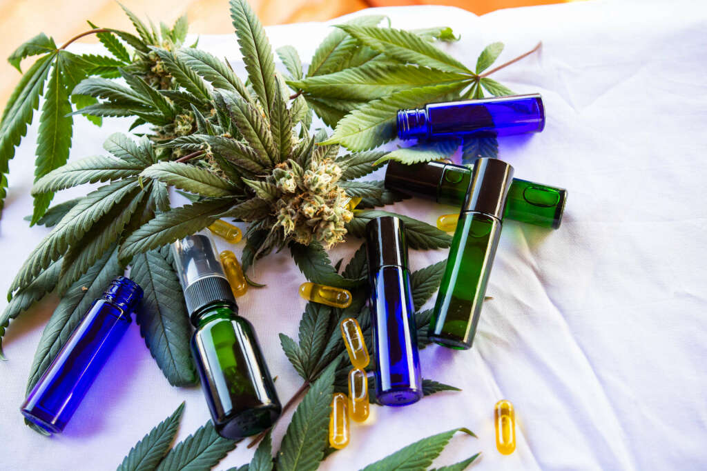 The Edible Calculator A StepbyStep Guide to Smarter Cannabis Cooking