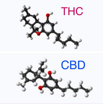 THC and CBD genetic structures.