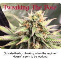 Your Cannabis Dose: Basic Ways to Benefit from Change