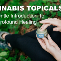 Cannabis Topicals: A Gentle Introduction to Profound Healing