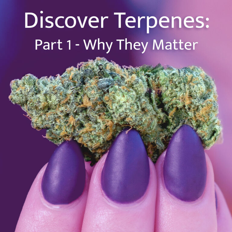Read more about the article Discover Terpenes: Part 1 – Why They Matter
