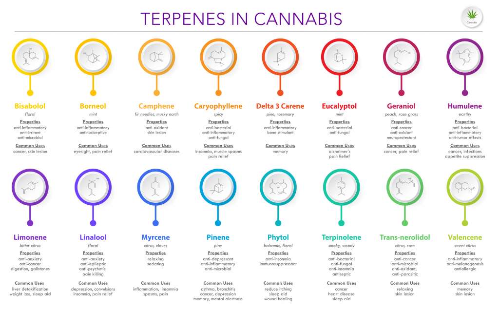 Here are some of the most common terpenes found in cannabis.