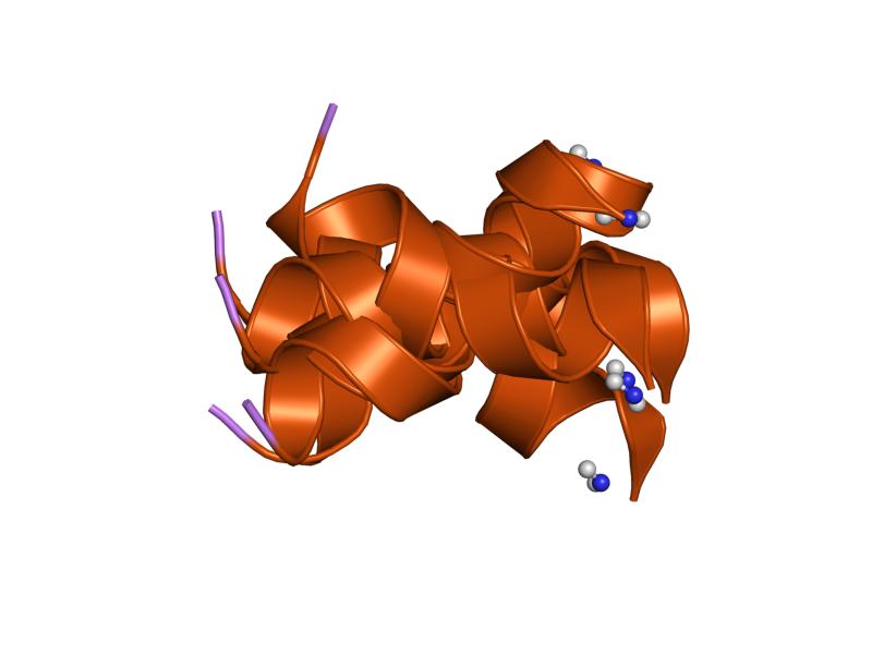 An anti-cancer peptide.