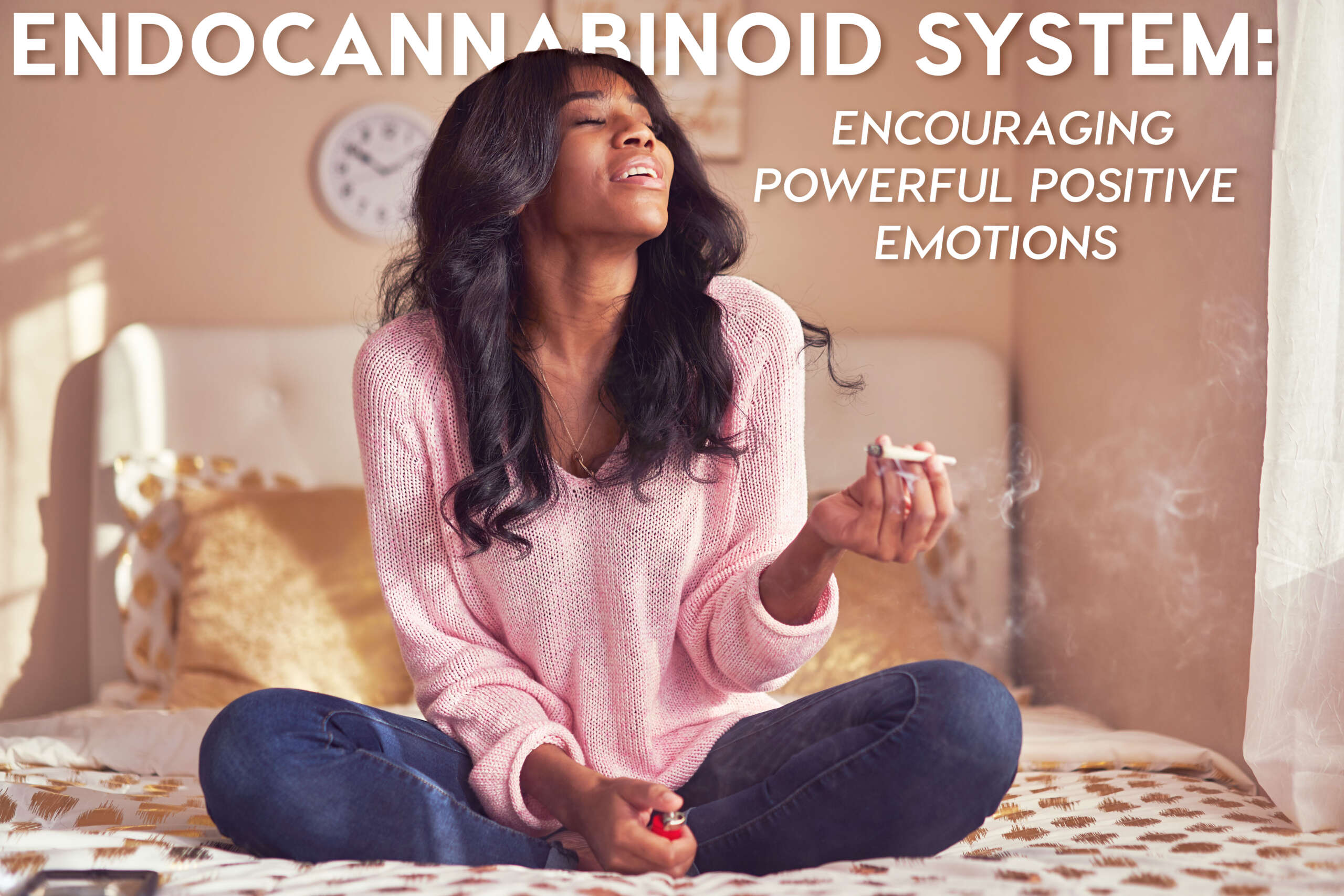 Read more about the article Endocannabinoid System: Encouraging Powerful Positive Emotions