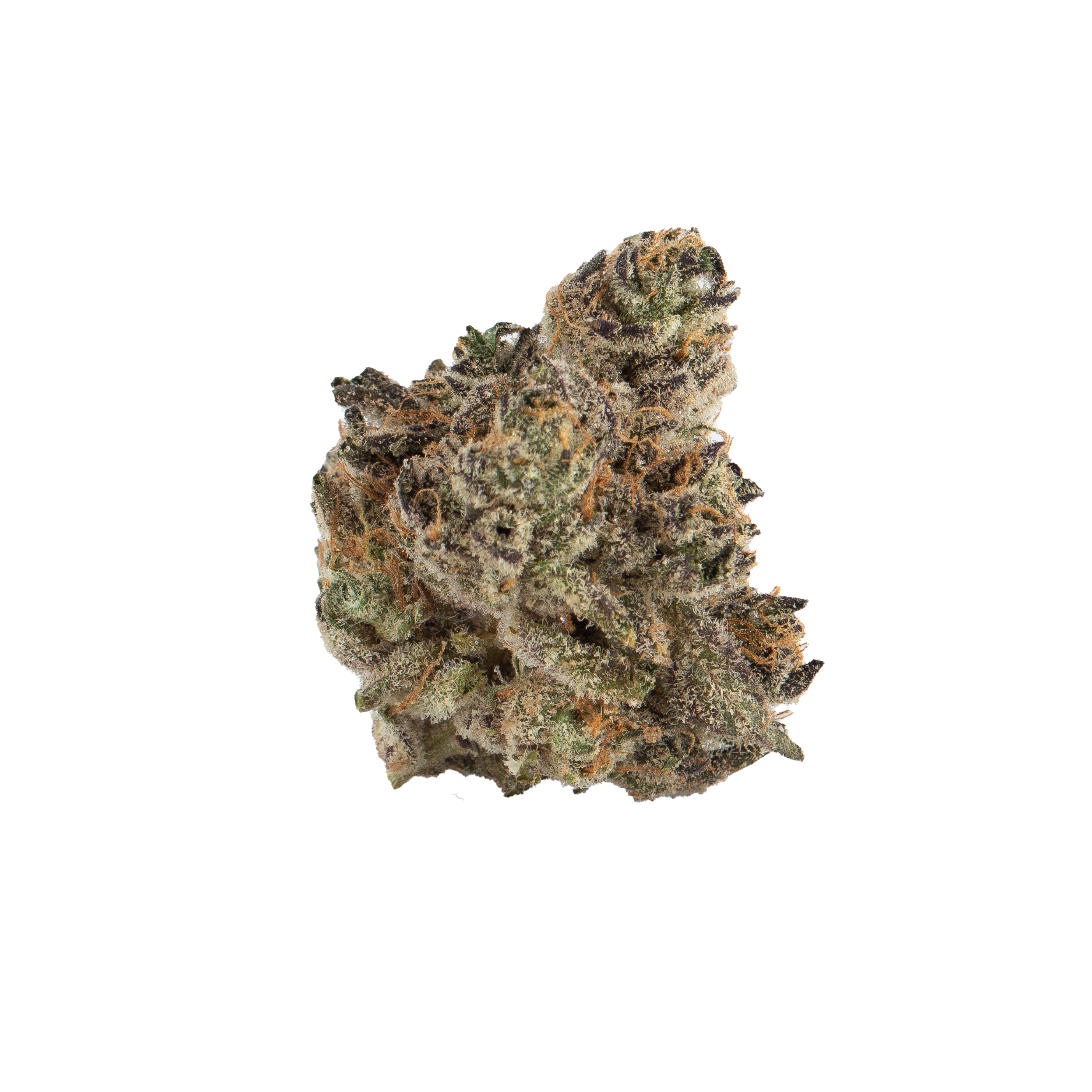 apple fritter strain for sale - buy weed online - Buy Apple Fritter Online