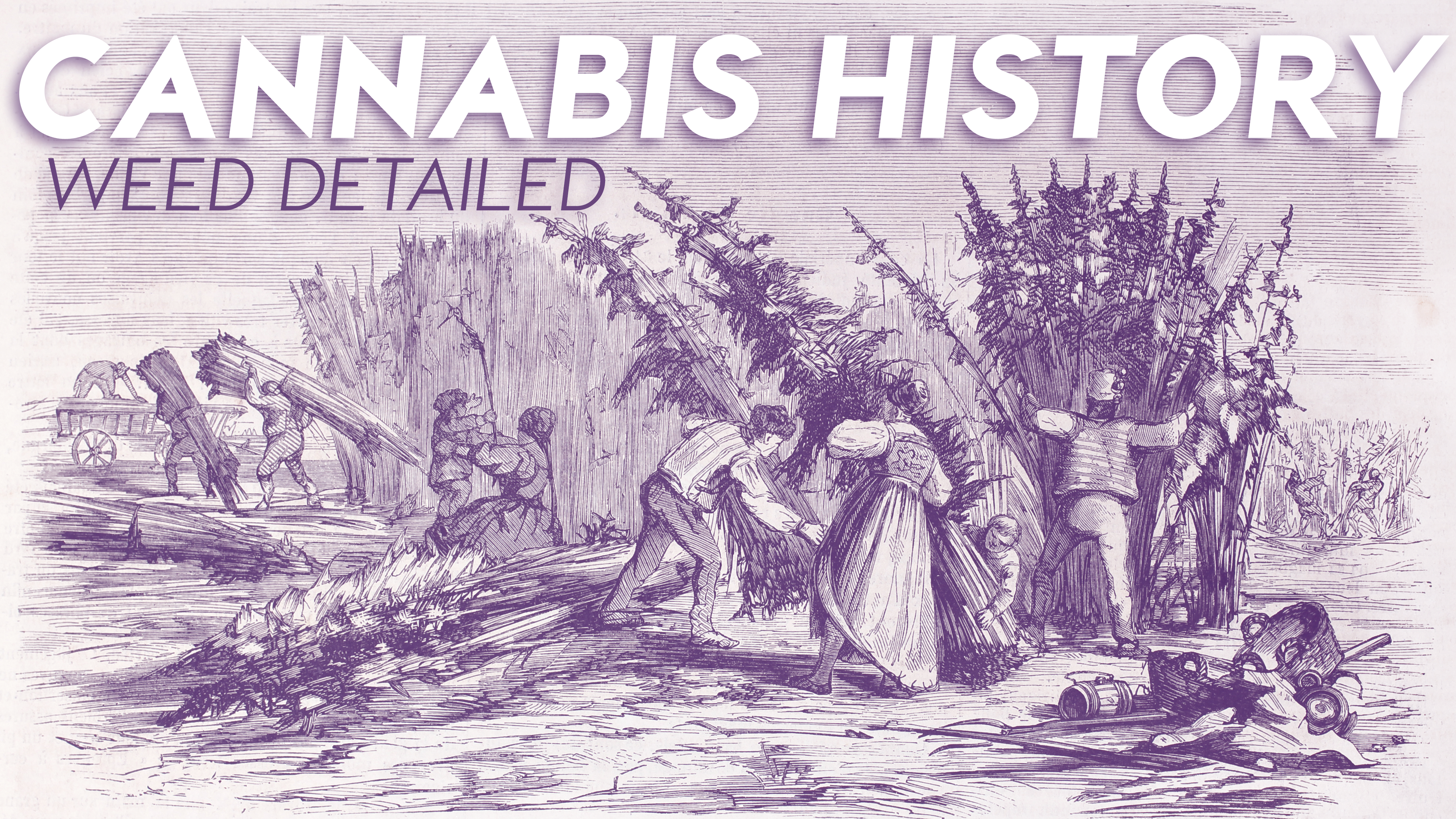 Read more about the article Cannabis History: Weed Detailed