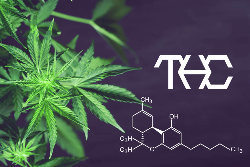 A look at the structure of THC.