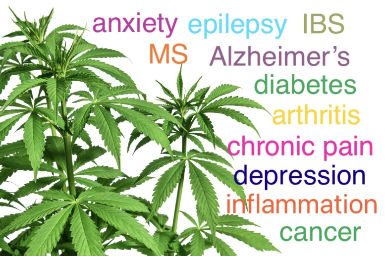 CBD can be beneficial to treating symptoms from a variety of conditions.