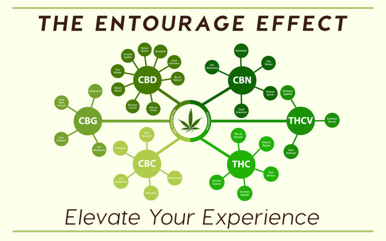 Read more about the article The Entourage Effect: Elevate Your Experience