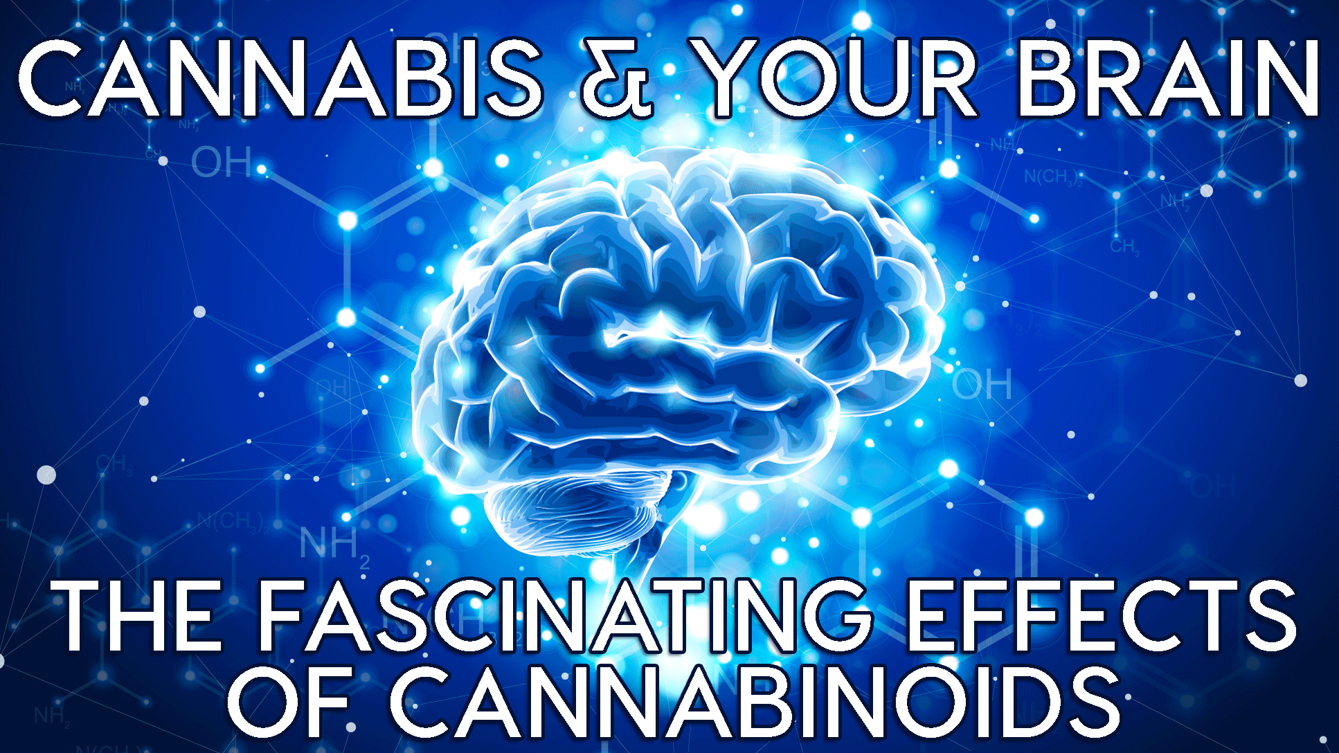 An examination of the effects of cannabis on the brain.