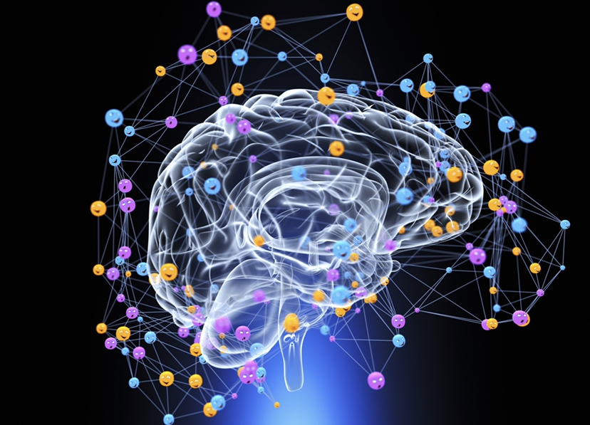 Cannabinoids influence youre emotional balance.