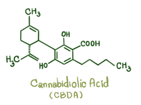 The structure of CBDA.