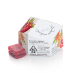 Pomegranate 1:1 CBD + Hybrid Enhanced Gummies (100mg THC:100mg CBD)
