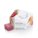 Pomegranate 1:1 CBD + Hybrid Enhanced Gummies | 100mg THC:100mg CBD