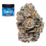 Gushers