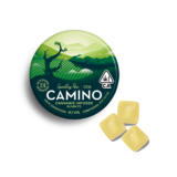 2:6 ‘Social’ Sparkling Pear [20pk] (40mg THC/120mg CBD)