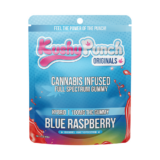 Blue Raspberry – Hybrid [10pk] (100mg)